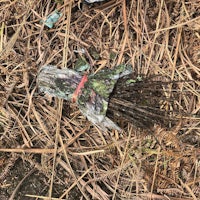 a broom laying on the ground