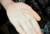 a person's hand with a frisbee in it