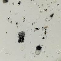 a white plate with black and white specks on it