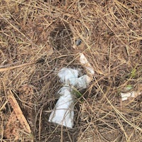 a plastic bag lying on the ground