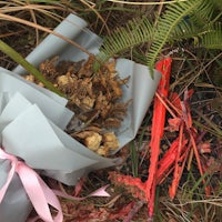 a bunch of flowers and ferns on the ground